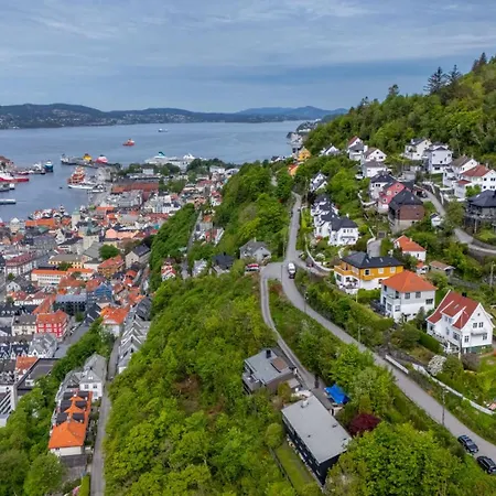 Skyline View - Nordic Above